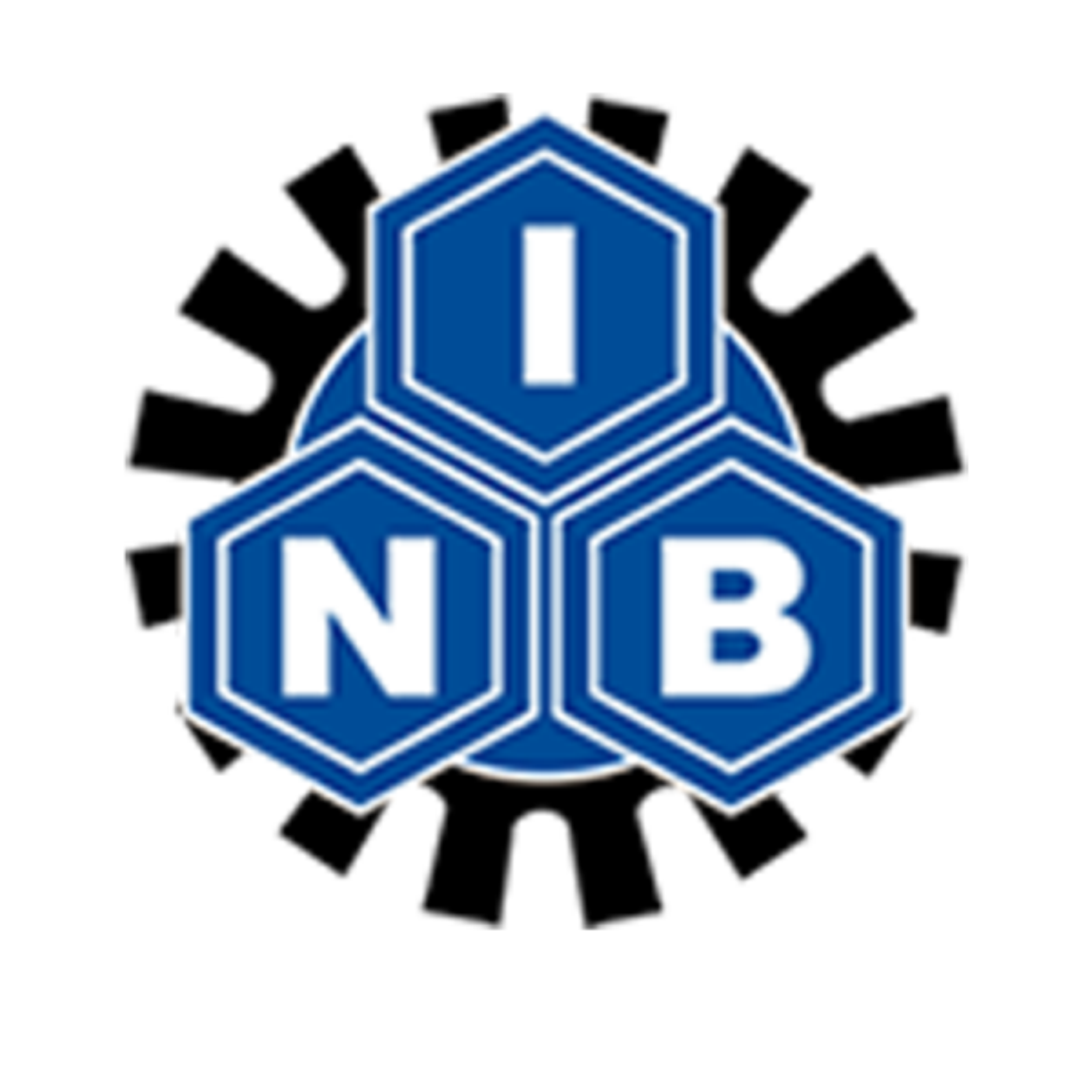 NIB Logo